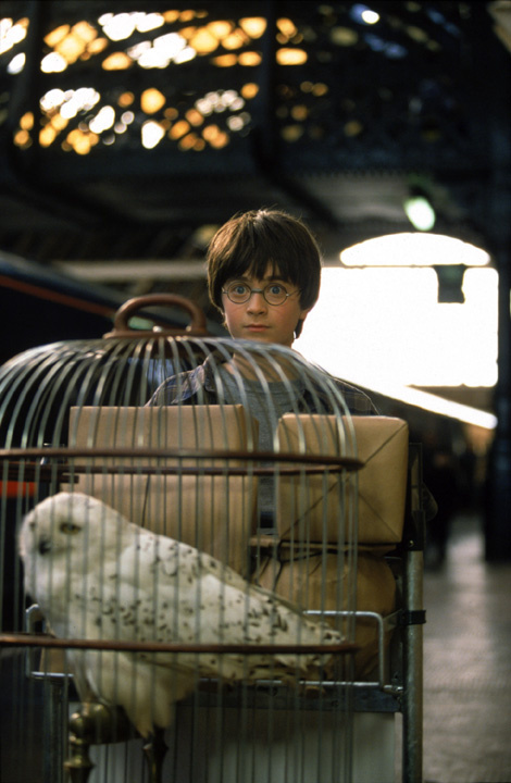 harry1.jpg (115578 bytes)